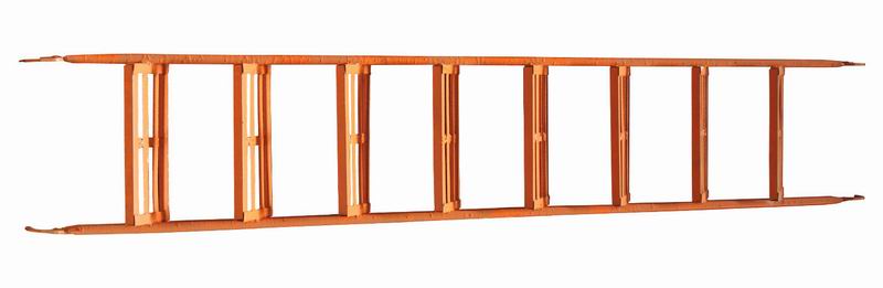 Scaffold Ladder Scaffold Ladder