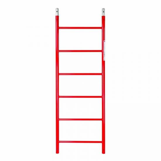 Steel Access Ladder